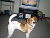 Charlie