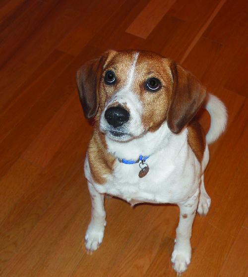 Charlie