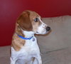 Charlie