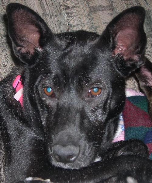 Gretta