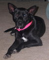 Gretta