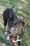 Gretta