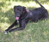 Gretta