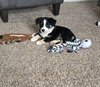 Skye