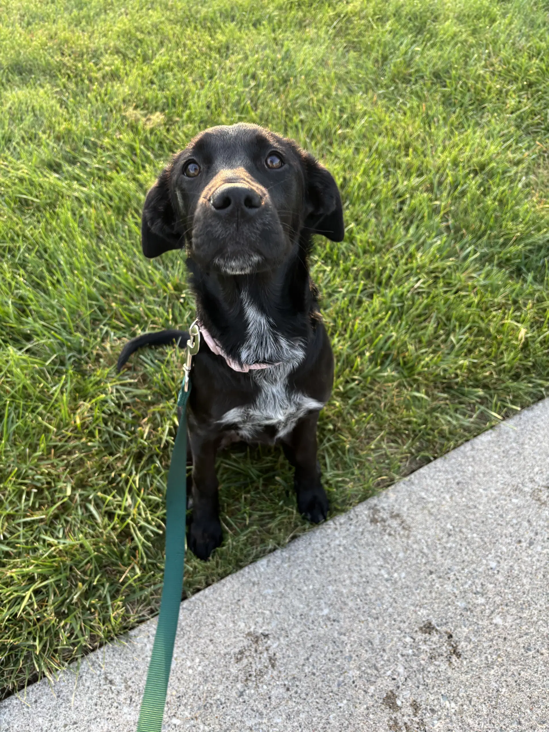 Molly image 3