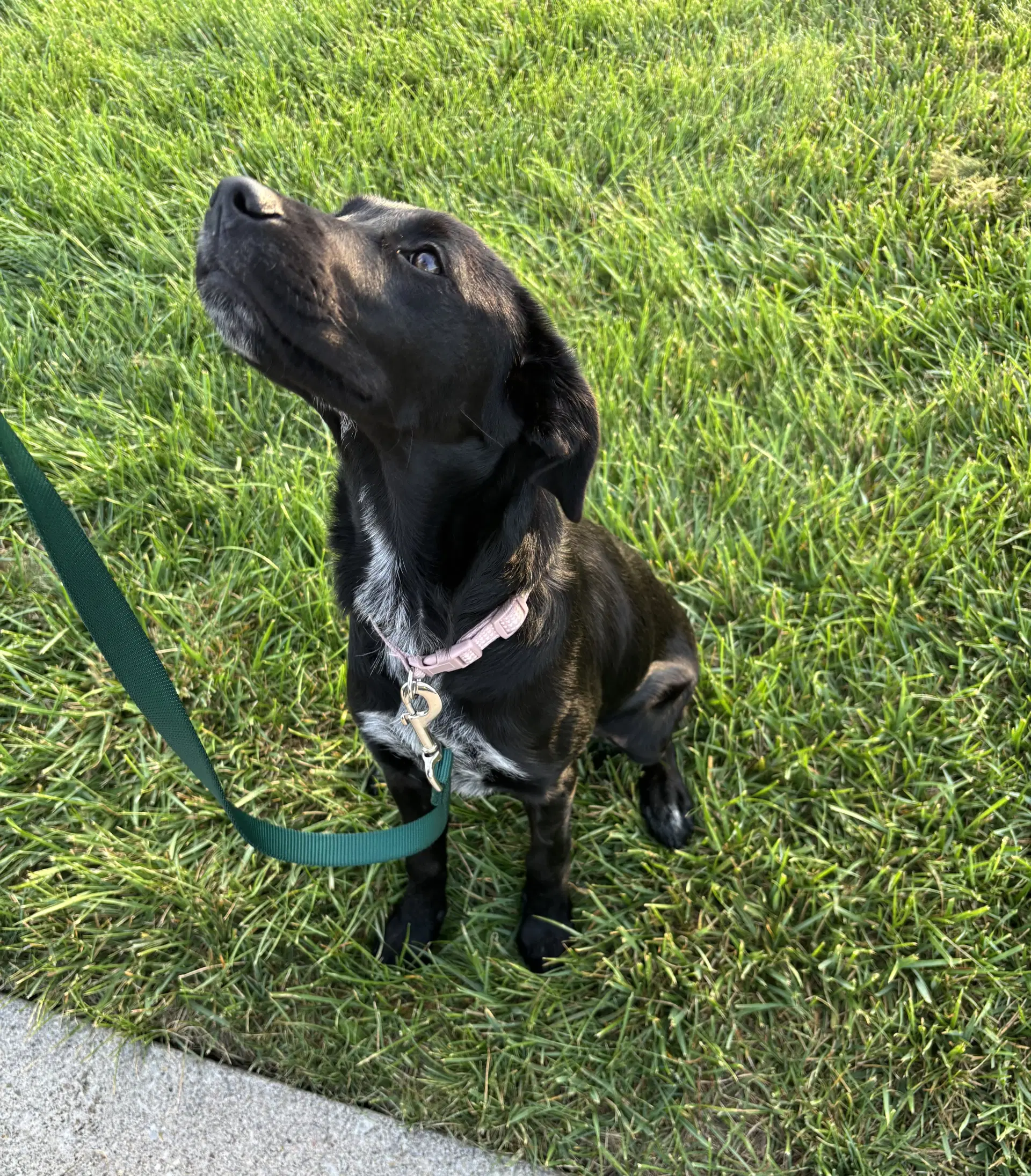 Molly image 4