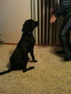 Gunner