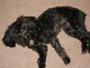 Bogie