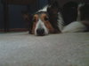 Charlie