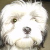 Missie