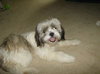 Missie