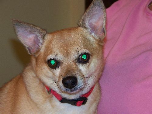 Spanky