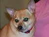Spanky
