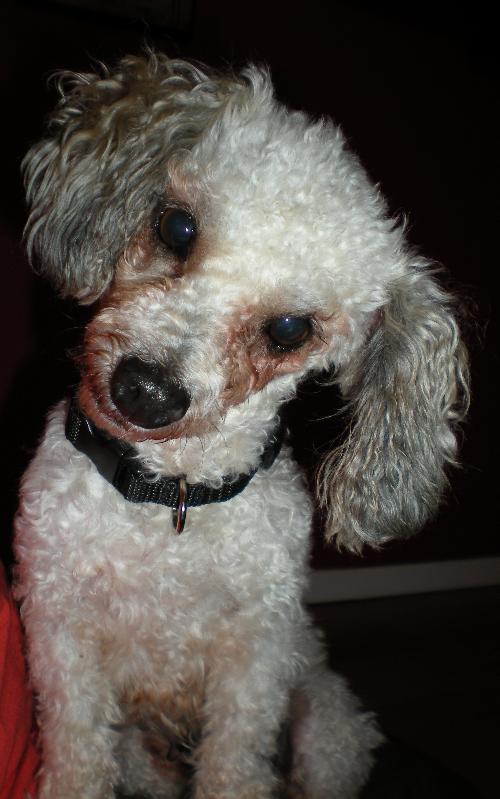 Lucy