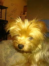 Sparkee