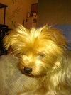 Sparkee