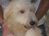 Charlie