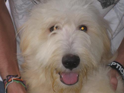 Charlie