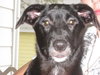 Lucy