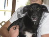 Lucy