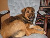 Sassy