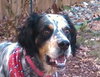 Leroy