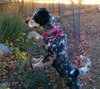 Leroy