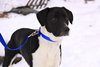 Buster