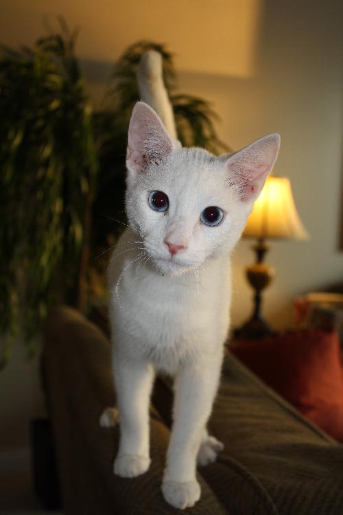 Casper