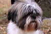 Charlie