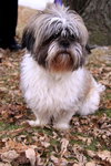 Charlie
