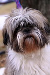 Charlie