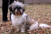 Charlie