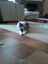 Mollie