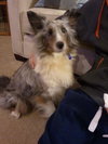 Mollie