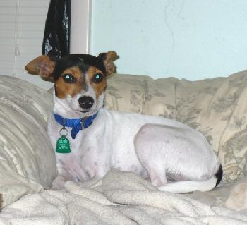 Mindy