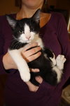 Athos
