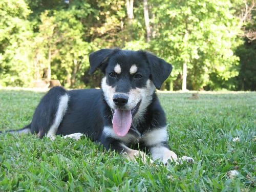Lucy