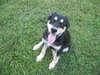 Lucy