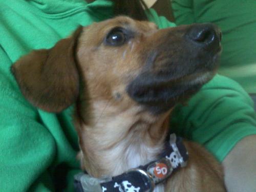 Molly