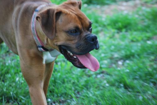 Lucy