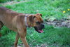 Lucy