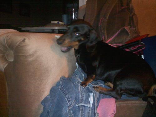 Mr. Stubbs