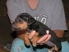Capone