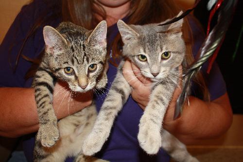 Teddy (pictured on Left)