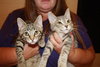Teddy (pictured on Left)