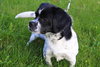 Buster