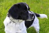 Buster