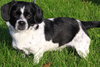 Buster