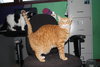 Rupert
